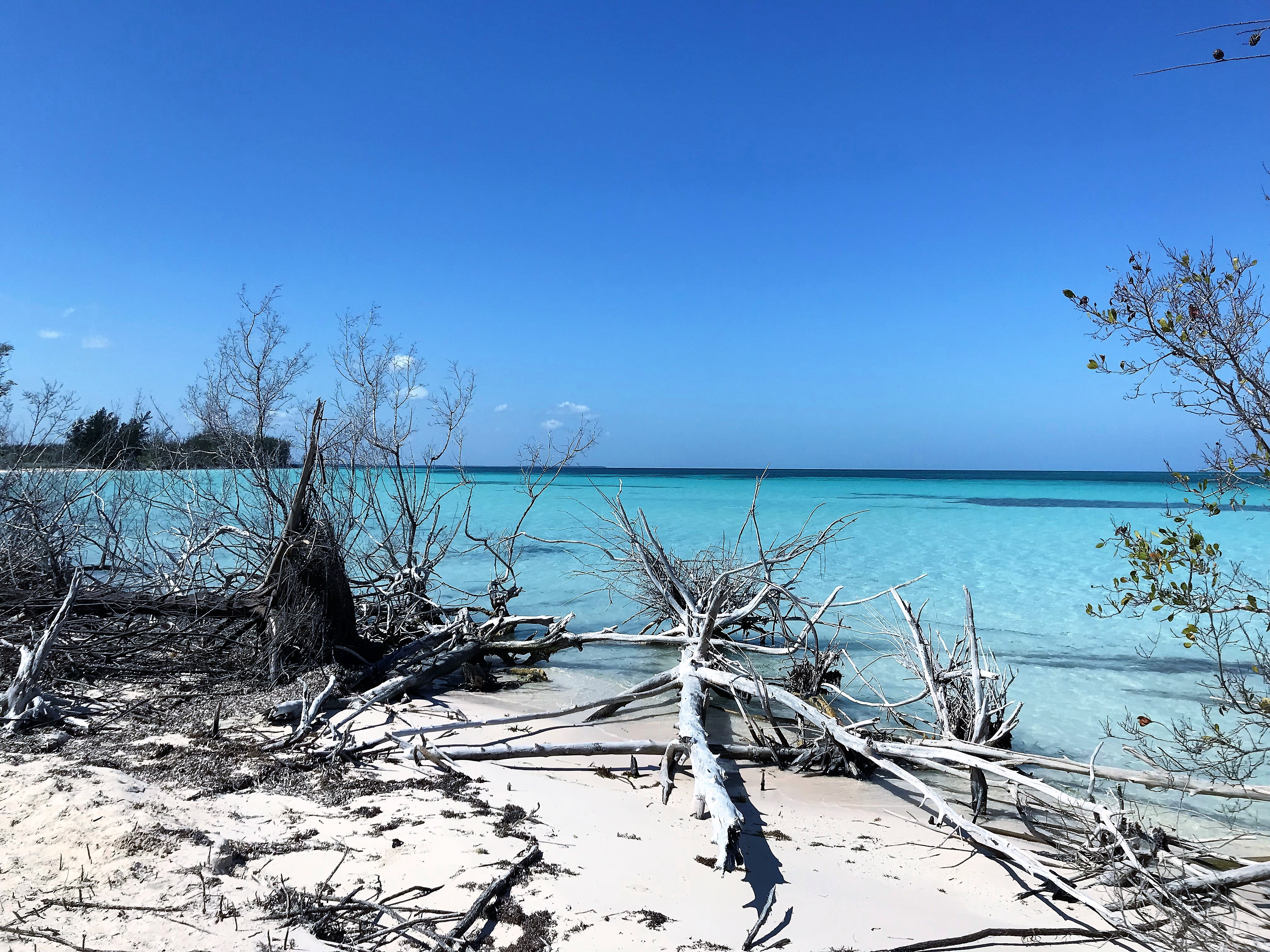 Cayo Jutias - lacadenaviajera