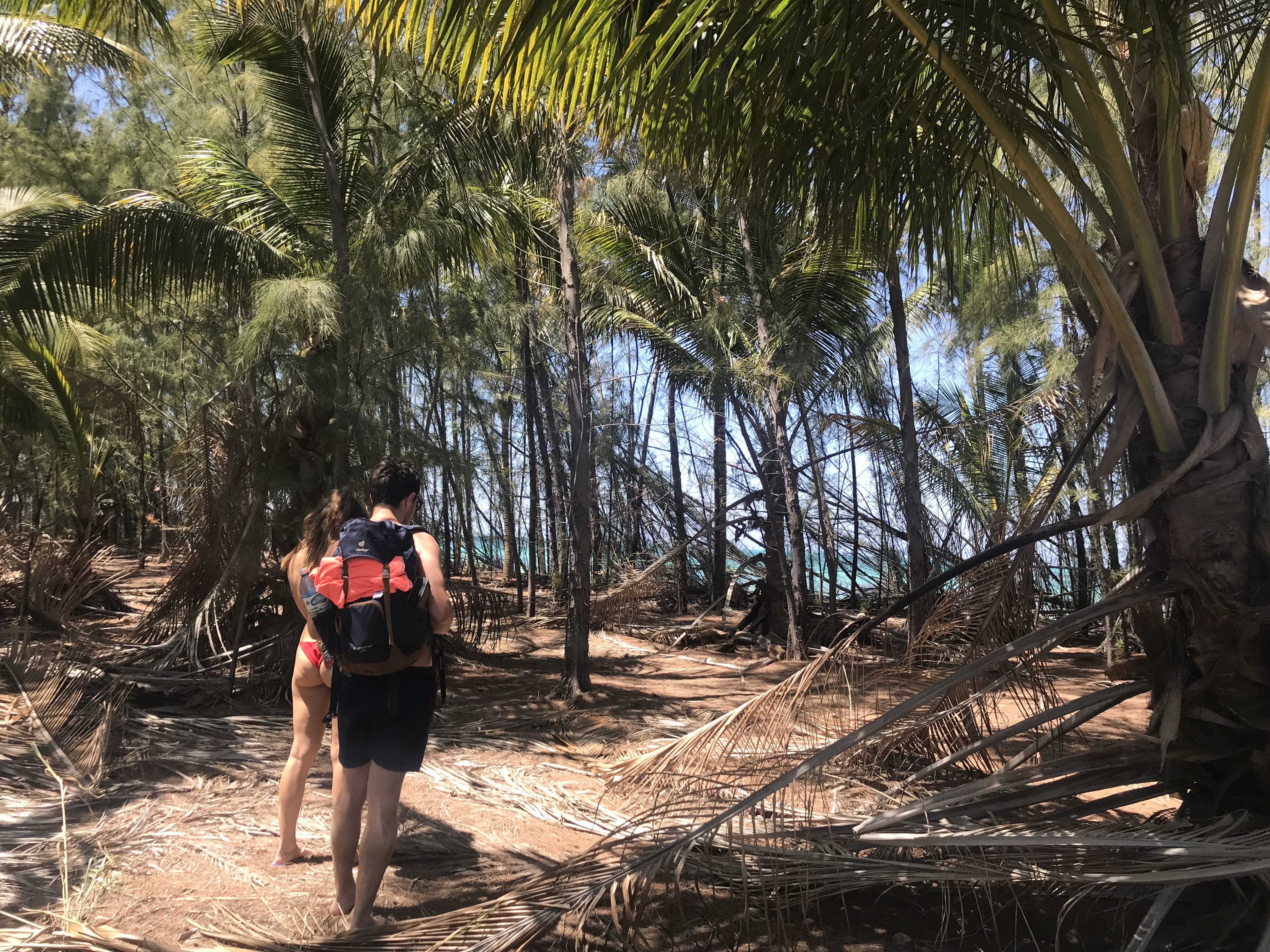 Cayo Jutias - la cadena viajera