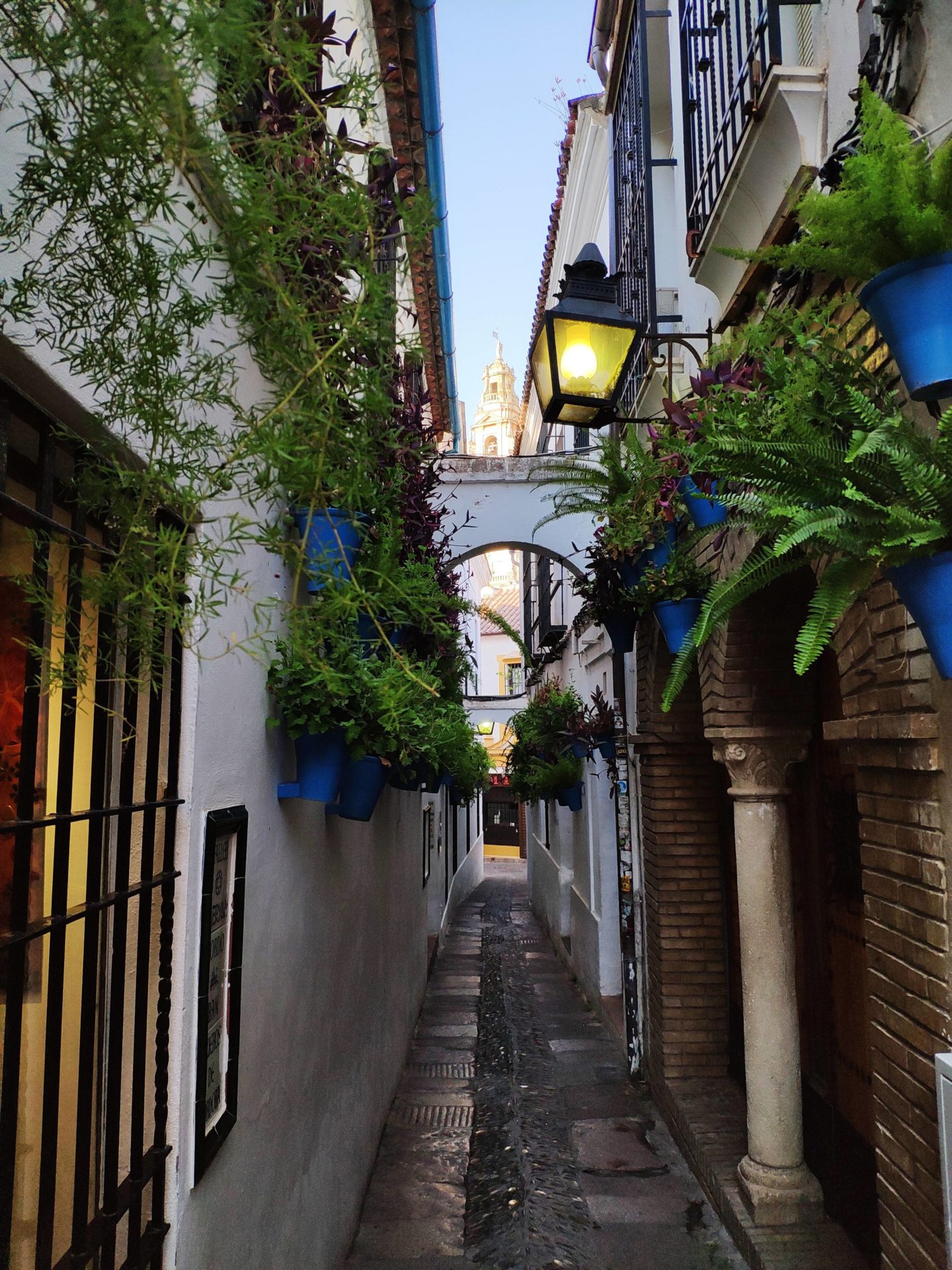 Calleja de Las Flores